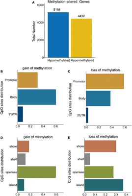 Integrative analysis of DNA methylation and gene expression data for the diagnosis and underlying mechanism of Parkinson’s disease